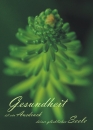 Gesundheit Karte Gesundheit