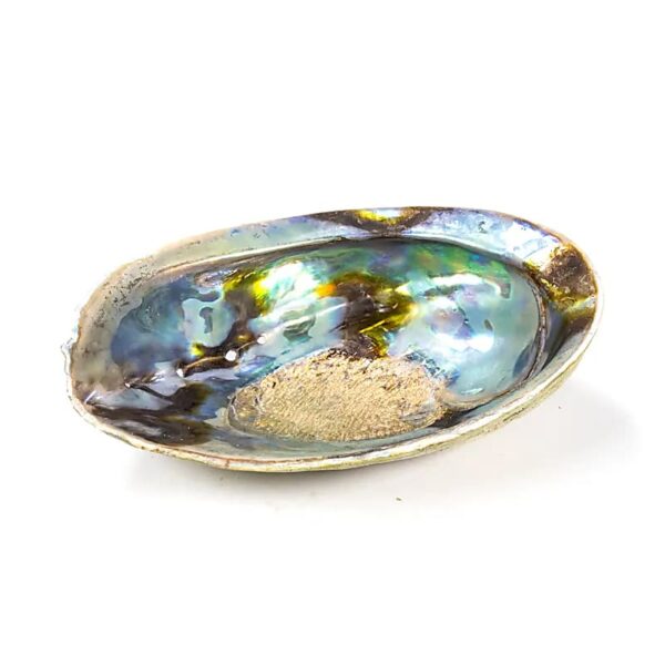 Regenbogen Abalone (Paua) Muschel