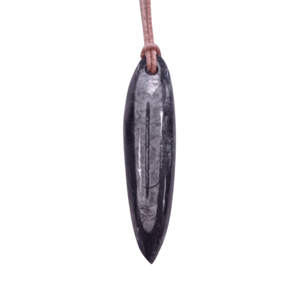 Orthoceras (Fossil) gebohrt