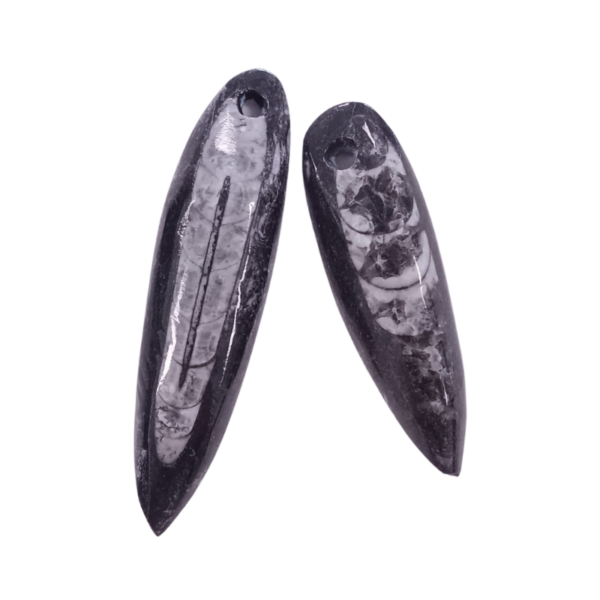 Orthoceras (Fossil) gebohrt – Bild 2