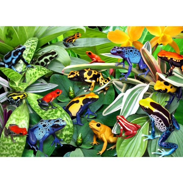 Fun Frogs  - 500 Teile Puzzle