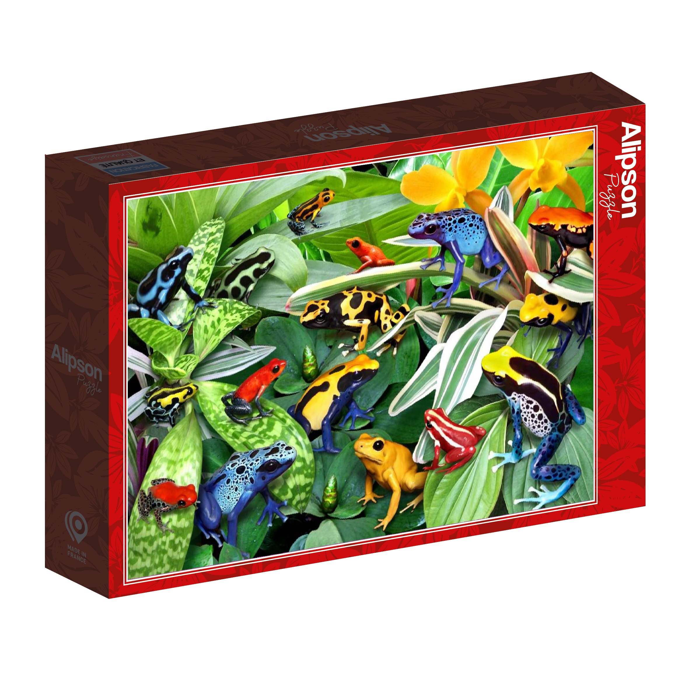 Fun Frogs  – 500 Teile Puzzle