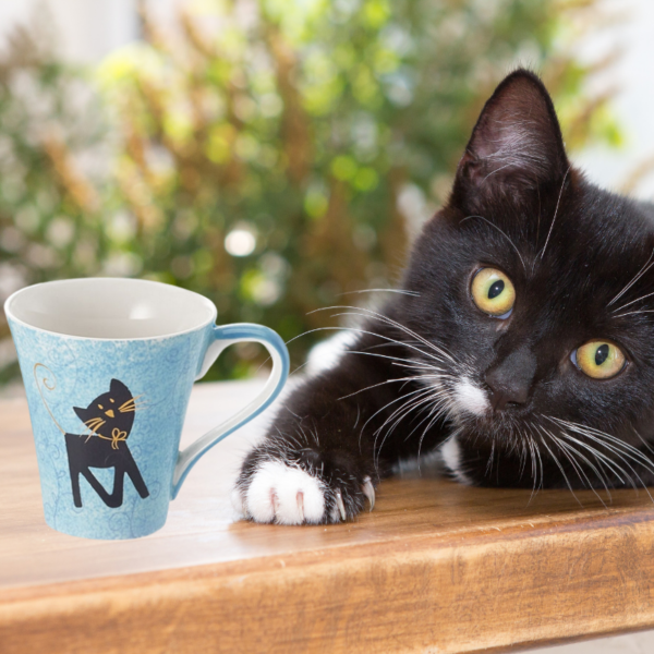Tasse Kater Filou – Bild 3