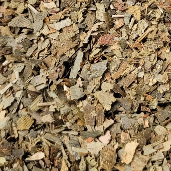 Ginkgo – Blätter