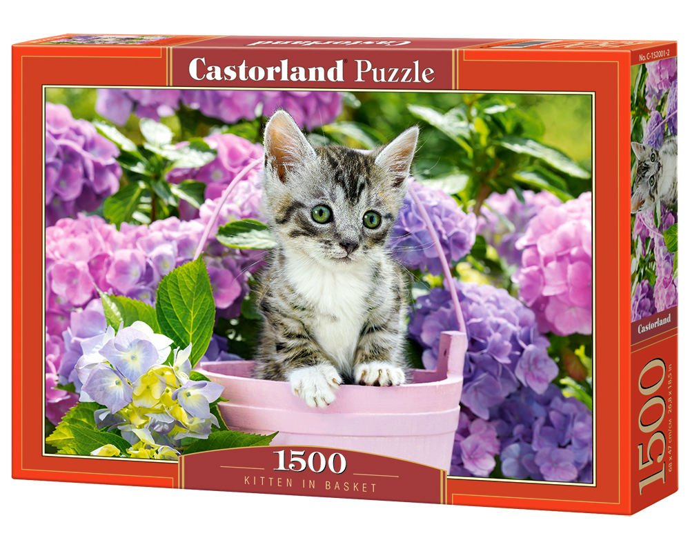 Kitten in Basket – 1500 Teile Puzzle