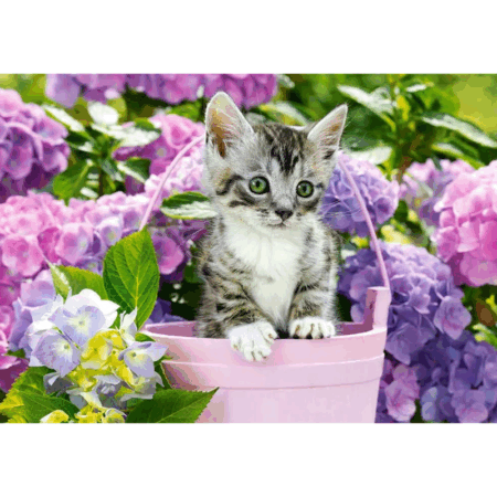 Kitten in Basket - 1500 Teile Puzzle
