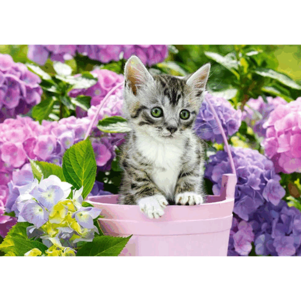 Kitten in Basket - 1500 Teile Puzzle