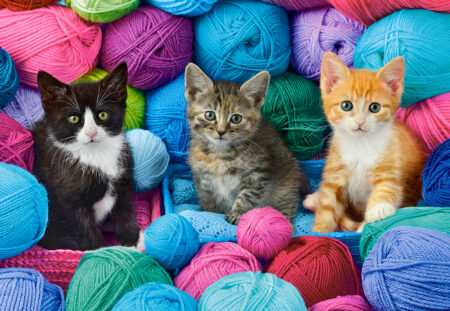 Kittens in a Yarn Store - 1000 Teile Puzzle