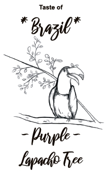 Taste of Brazil – Purple Lapacho Tree Lapachotee