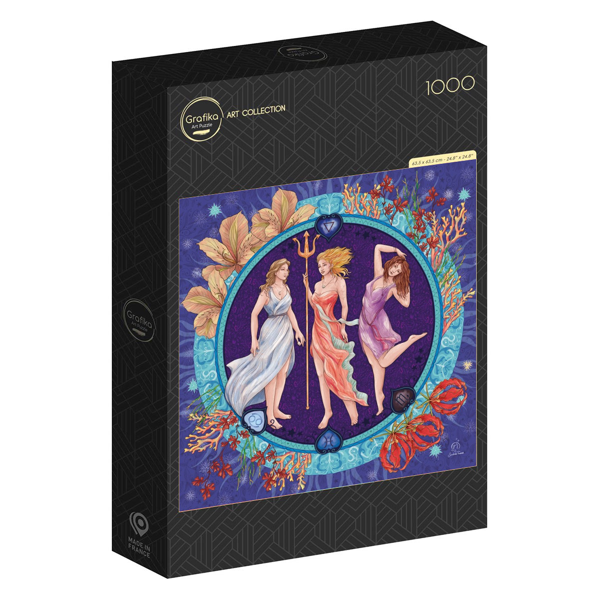 Les Signes d’Eau en Astrologie – 1000 Teile Puzzle