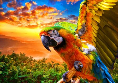 Parrot - 1000 Teile Puzzle