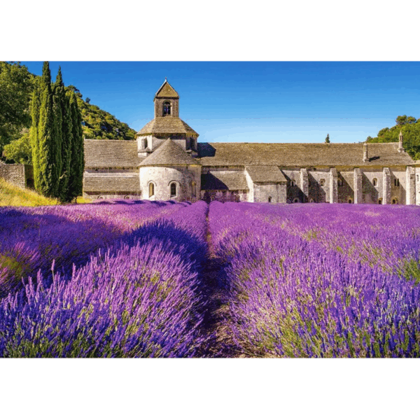 Provence  - 1000 Teile Puzzle