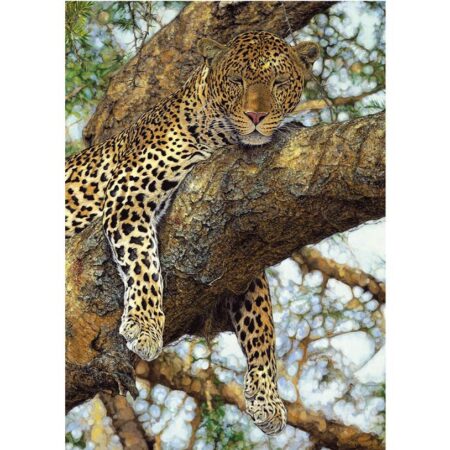 Leopard - 1000 Teile Puzzle