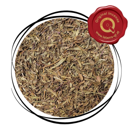 Quendel - Kraut