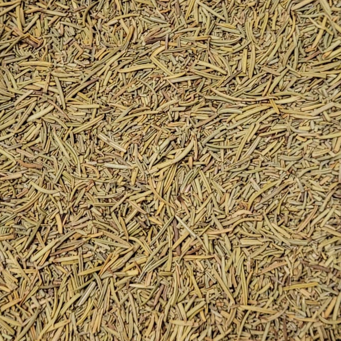 Rosmarin – Kraut