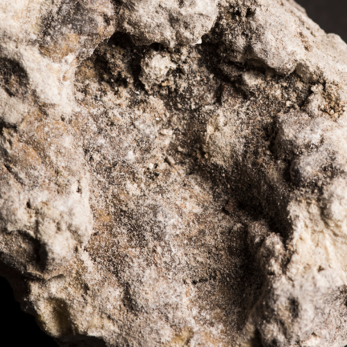 Copal schwarz – Harz