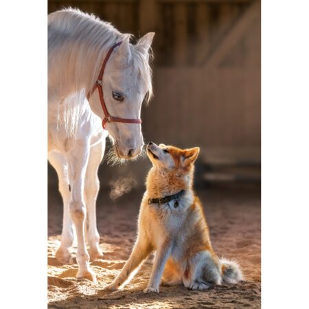Unique Friendship - 1000 Teile Puzzle