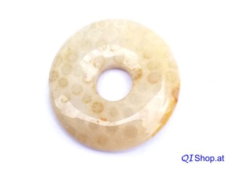 Koralle versteinert Donut