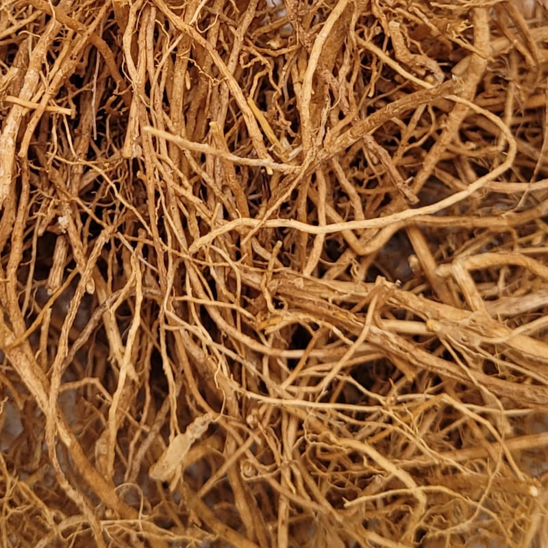 Vetiver – Wurzel
