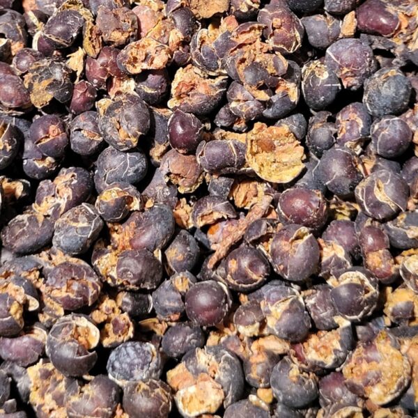 Wacholder - Beeren – Bild 2